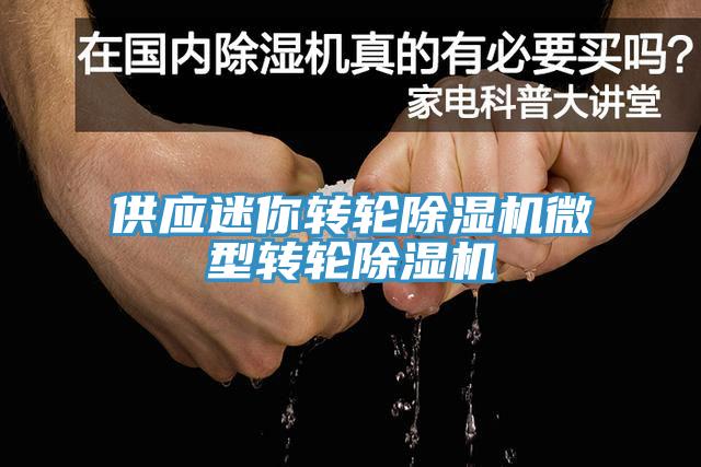 供應(yīng)迷你轉(zhuǎn)輪除濕機(jī)微型轉(zhuǎn)輪除濕機(jī)