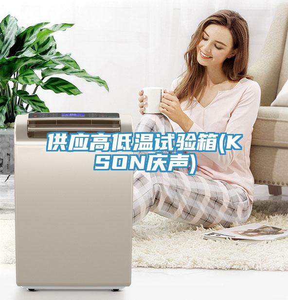供應(yīng)高低溫試驗箱(KSON慶聲)