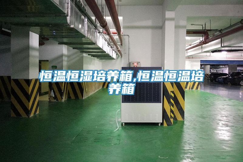 恒溫恒濕培養(yǎng)箱,恒溫恒溫培養(yǎng)箱