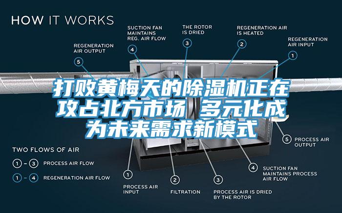 打敗黃梅天的除濕機(jī)正在攻占北方市場(chǎng) 多元化成為未來需求新模式