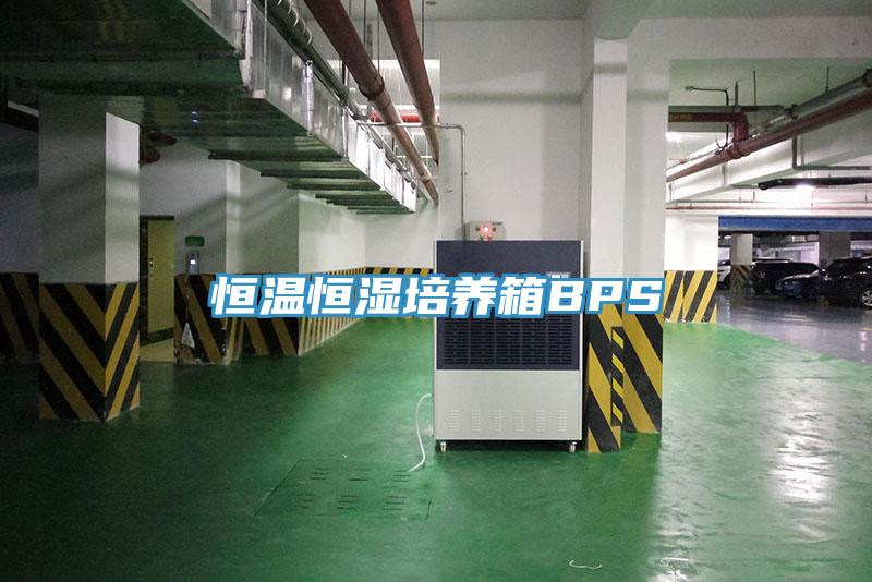 恒溫恒濕培養(yǎng)箱BPS