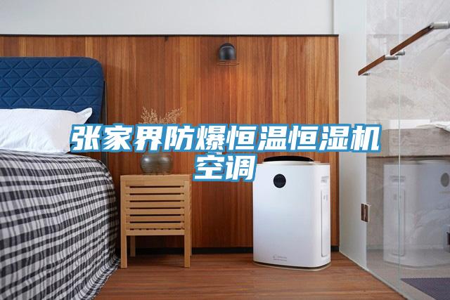 張家界防爆恒溫恒濕機空調(diào)