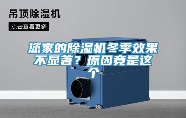 您家的除濕機(jī)冬季效果不顯著？原因竟是這個(gè)