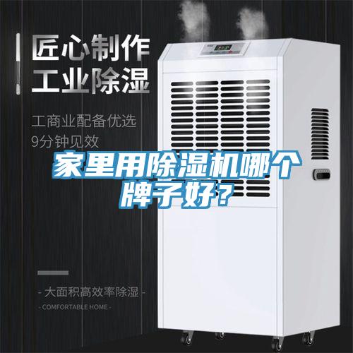 家里用除濕機哪個牌子好？