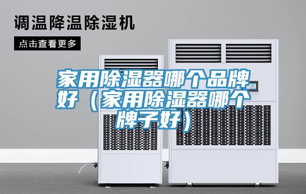 家用除濕器哪個品牌好（家用除濕器哪個牌子好）