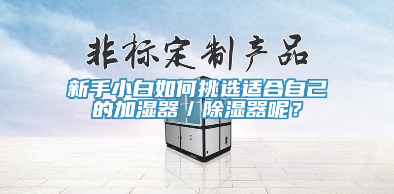 新手小白如何挑選適合自己的加濕器／除濕器呢？