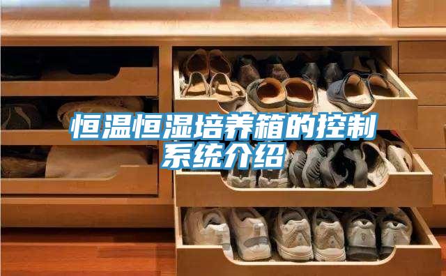 恒溫恒濕培養(yǎng)箱的控制系統(tǒng)介紹