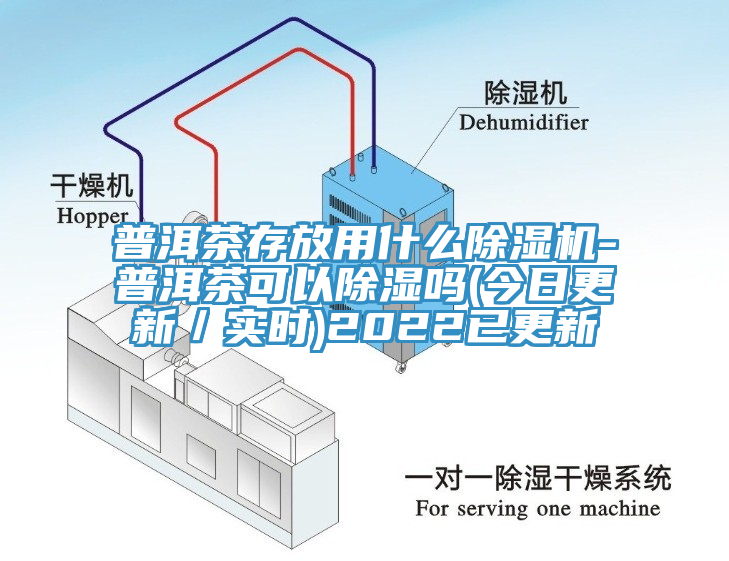 普洱茶存放用什么除濕機-普洱茶可以除濕嗎(今日更新／實時)2022已更新