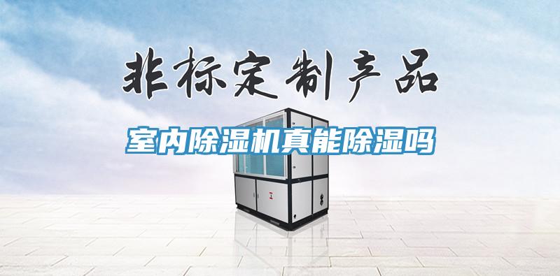 室內(nèi)除濕機真能除濕嗎