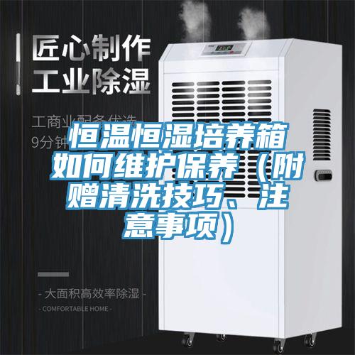 恒溫恒濕培養(yǎng)箱如何維護(hù)保養(yǎng)（附贈清洗技巧、注意事項(xiàng)）
