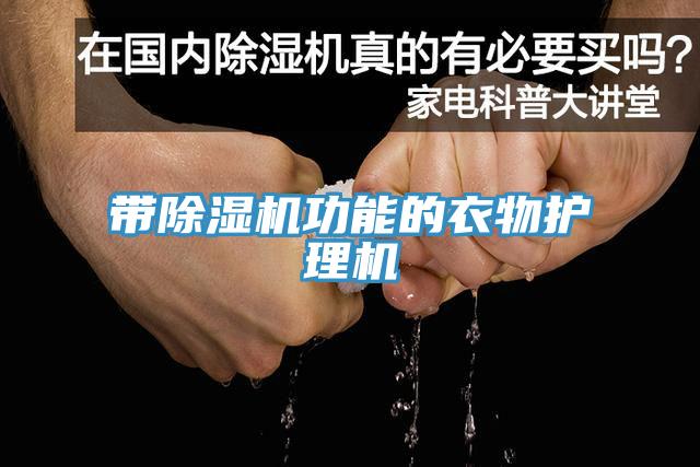帶除濕機(jī)功能的衣物護(hù)理機(jī)