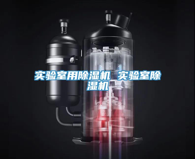 實(shí)驗(yàn)室用除濕機(jī) 實(shí)驗(yàn)室除濕機(jī)