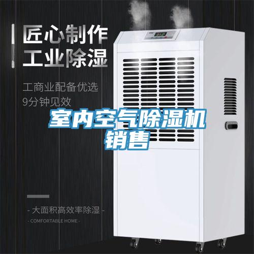 室內(nèi)空氣除濕機(jī)銷售