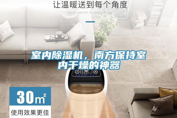 室內(nèi)除濕機，南方保持室內(nèi)干燥的神器