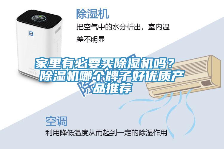 家里有必要買除濕機嗎？ 除濕機哪個牌子好優(yōu)質(zhì)產(chǎn)品推薦