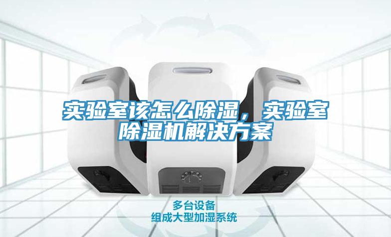 實(shí)驗(yàn)室該怎么除濕，實(shí)驗(yàn)室除濕機(jī)解決方案