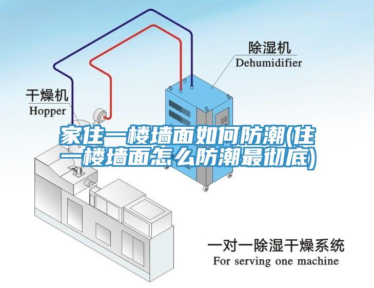 家住一樓墻面如何防潮(住一樓墻面怎么防潮最徹底)