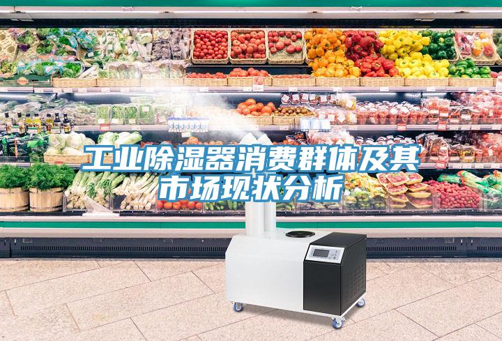 工業(yè)除濕器消費(fèi)群體及其市場(chǎng)現(xiàn)狀分析