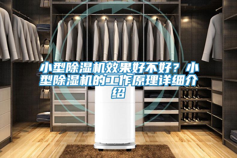 小型除濕機(jī)效果好不好？小型除濕機(jī)的工作原理詳細(xì)介紹