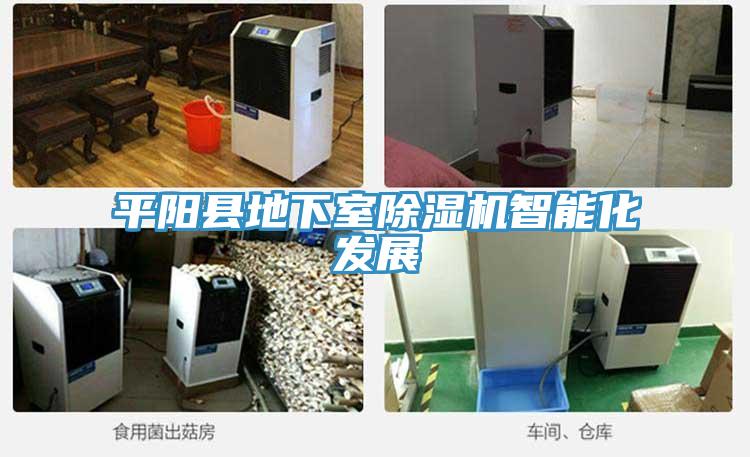 平陽(yáng)縣地下室除濕機(jī)智能化發(fā)展