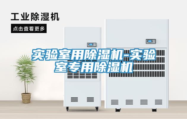 實(shí)驗(yàn)室用除濕機(jī)-實(shí)驗(yàn)室專用除濕機(jī)