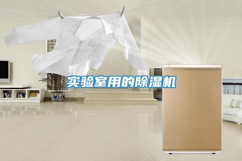 實(shí)驗(yàn)室用的除濕機(jī)