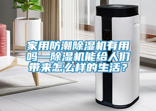 家用防潮除濕機有用嗎—除濕機能給人們帶來怎么樣的生活？