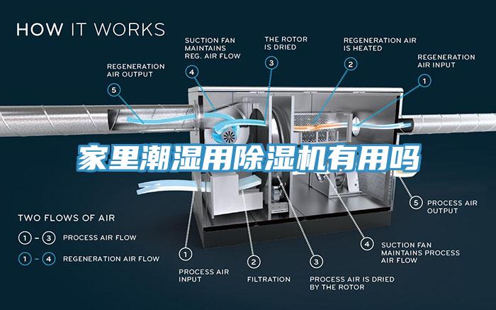 家里潮濕用除濕機有用嗎