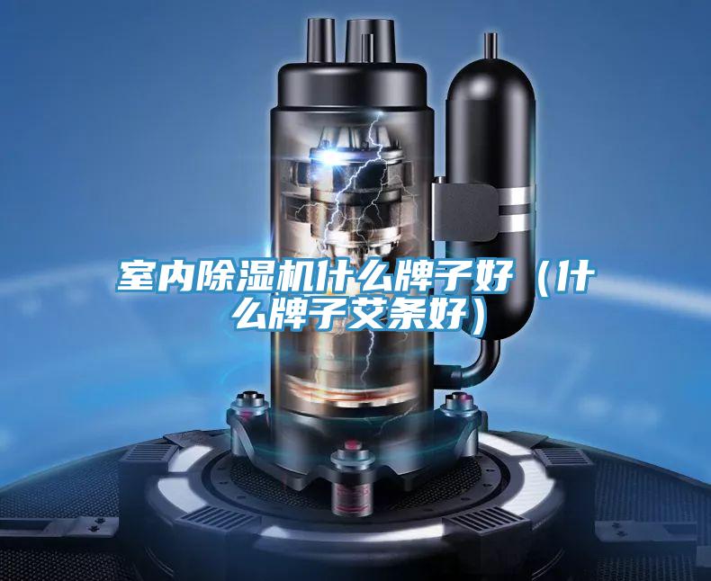 室內(nèi)除濕機什么牌子好（什么牌子艾條好）