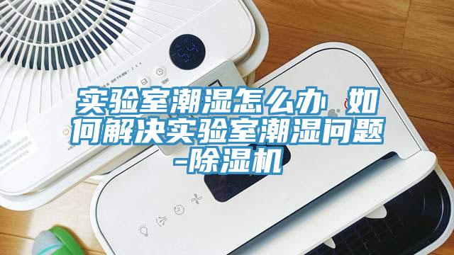 實(shí)驗(yàn)室潮濕怎么辦 如何解決實(shí)驗(yàn)室潮濕問題-除濕機(jī)