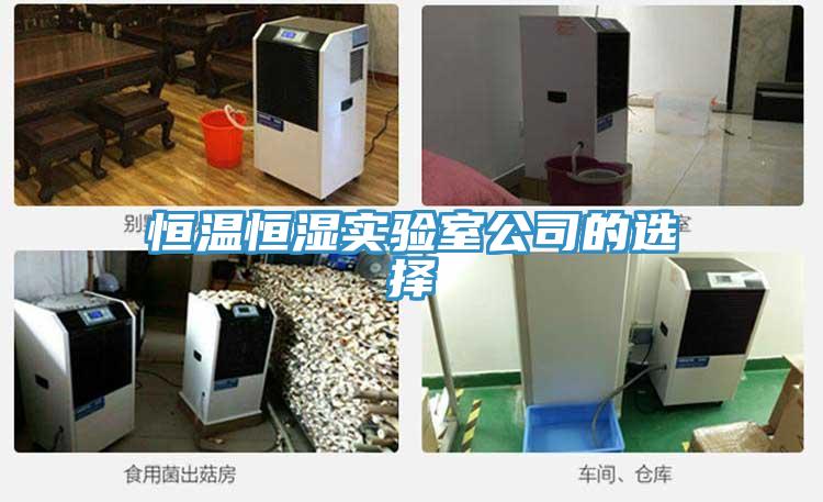 恒溫恒濕實(shí)驗(yàn)室公司的選擇