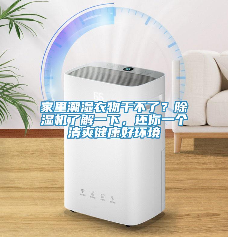 家里潮濕衣物干不了？除濕機了解一下，還你一個清爽健康好環(huán)境