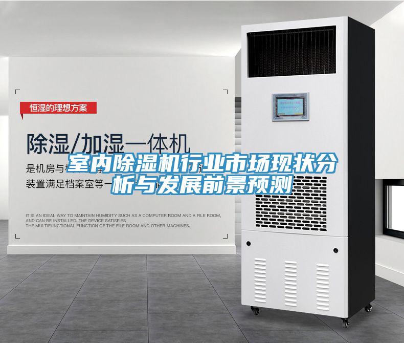 室內(nèi)除濕機行業(yè)市場現(xiàn)狀分析與發(fā)展前景預測