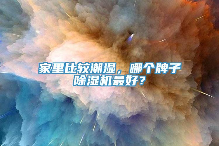 家里比較潮濕，哪個牌子除濕機最好？