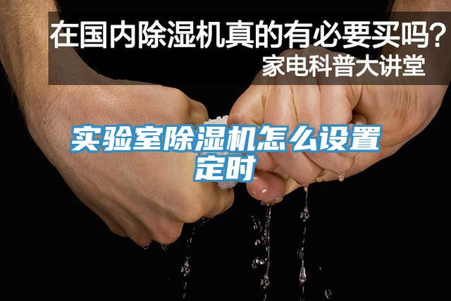 實(shí)驗(yàn)室除濕機(jī)怎么設(shè)置定時(shí)