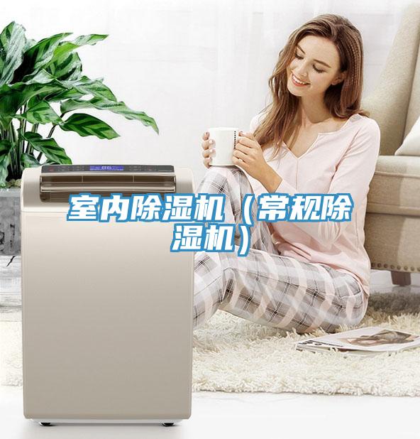 室內(nèi)除濕機（常規(guī)除濕機）