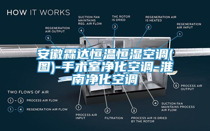 安徽霖達(dá)恒溫恒濕空調(diào)(圖)-手術(shù)室凈化空調(diào)-淮南凈化空調(diào)