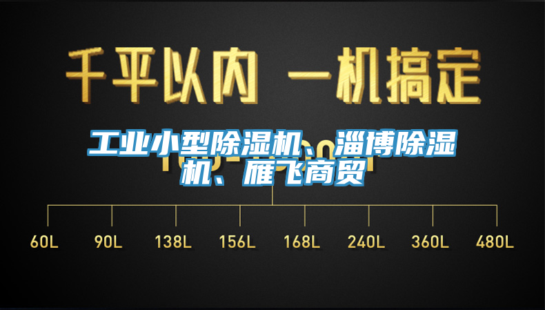 工業(yè)小型除濕機、淄博除濕機、雁飛商貿(mào)