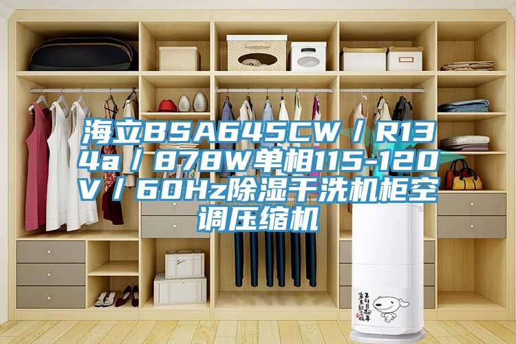 海立BSA645CW／R134a／878W單相115-120V／60Hz除濕干洗機柜空調(diào)壓縮機