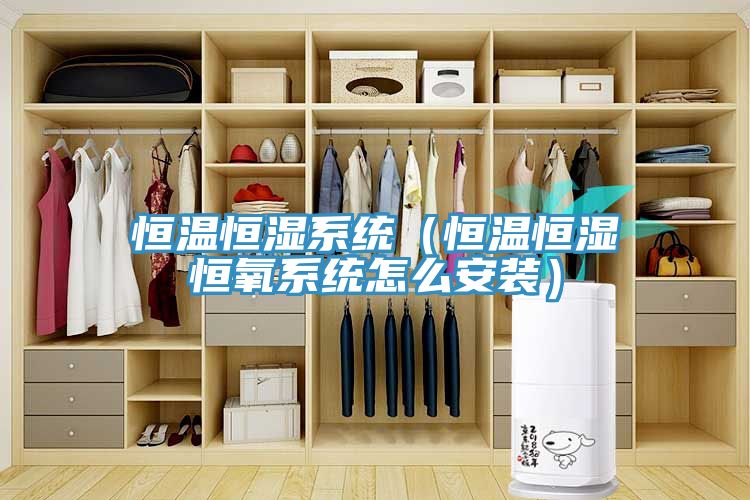 恒溫恒濕系統(tǒng)（恒溫恒濕恒氧系統(tǒng)怎么安裝）