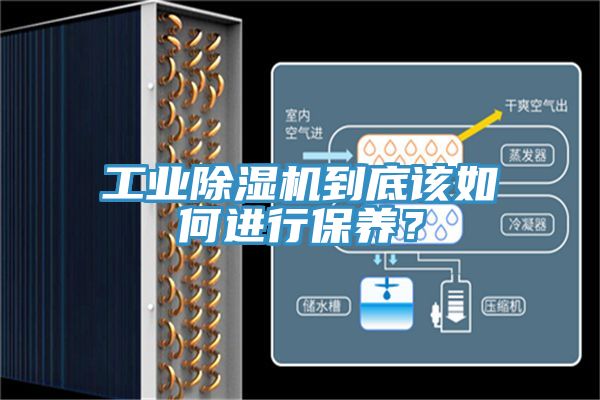 工業(yè)除濕機(jī)到底該如何進(jìn)行保養(yǎng)？
