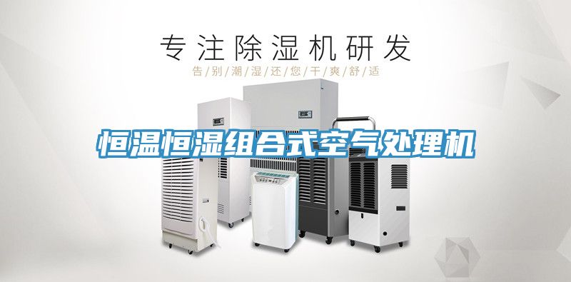 恒溫恒濕組合式空氣處理機