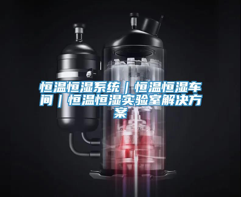 恒溫恒濕系統(tǒng)｜恒溫恒濕車間｜恒溫恒濕實驗室解決方案