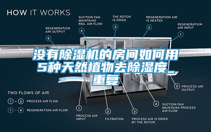 沒(méi)有除濕機(jī)的房間如何用5種天然植物去除濕度_重復(fù)