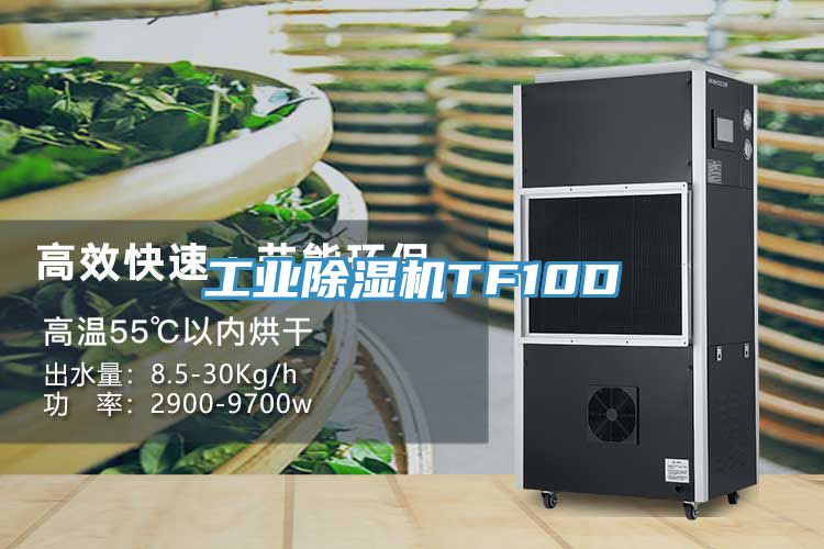 工業(yè)除濕機TF10D