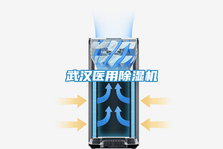 武漢醫(yī)用除濕機(jī)