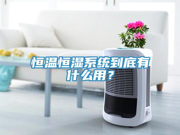 恒溫恒濕系統(tǒng)到底有什么用？