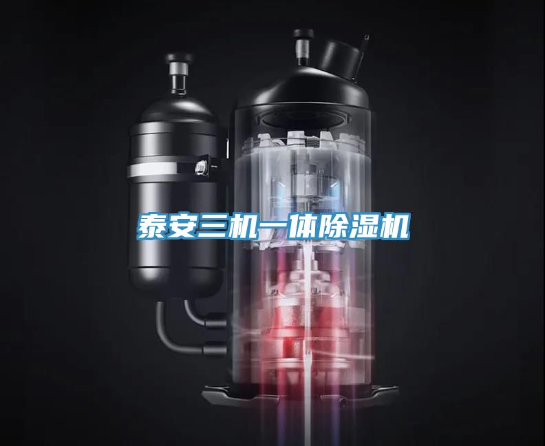 泰安三機一體除濕機