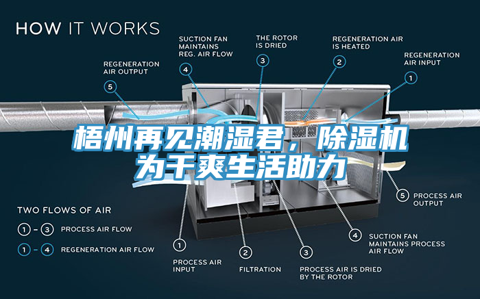 梧州再見潮濕君，除濕機為干爽生活助力