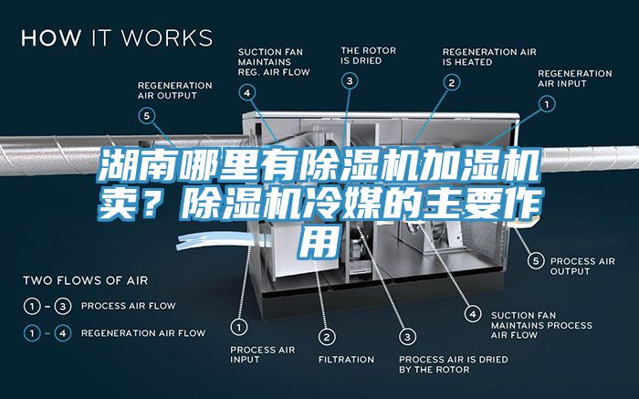 湖南哪里有除濕機(jī)加濕機(jī)賣？除濕機(jī)冷媒的主要作用